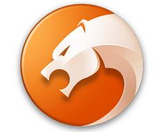 猎豹浏览器怎么清理电脑网页缓存数据