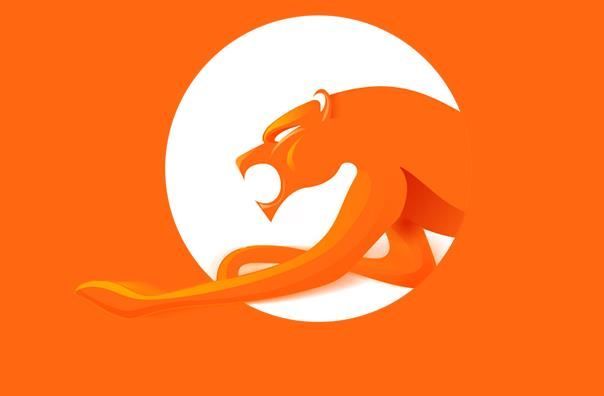猎豹浏览器2023电脑官方正版