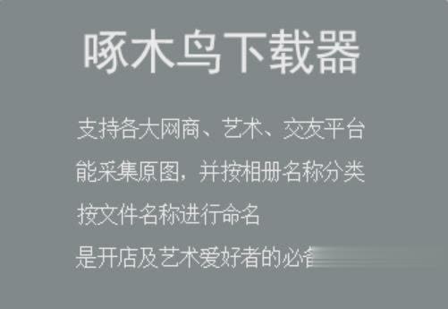 啄木鸟全能怎么下载器绿色中文免费版官网怎么下载v3.8版