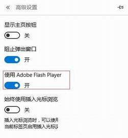 edge浏览器 flash开启了却不能播放怎么回事